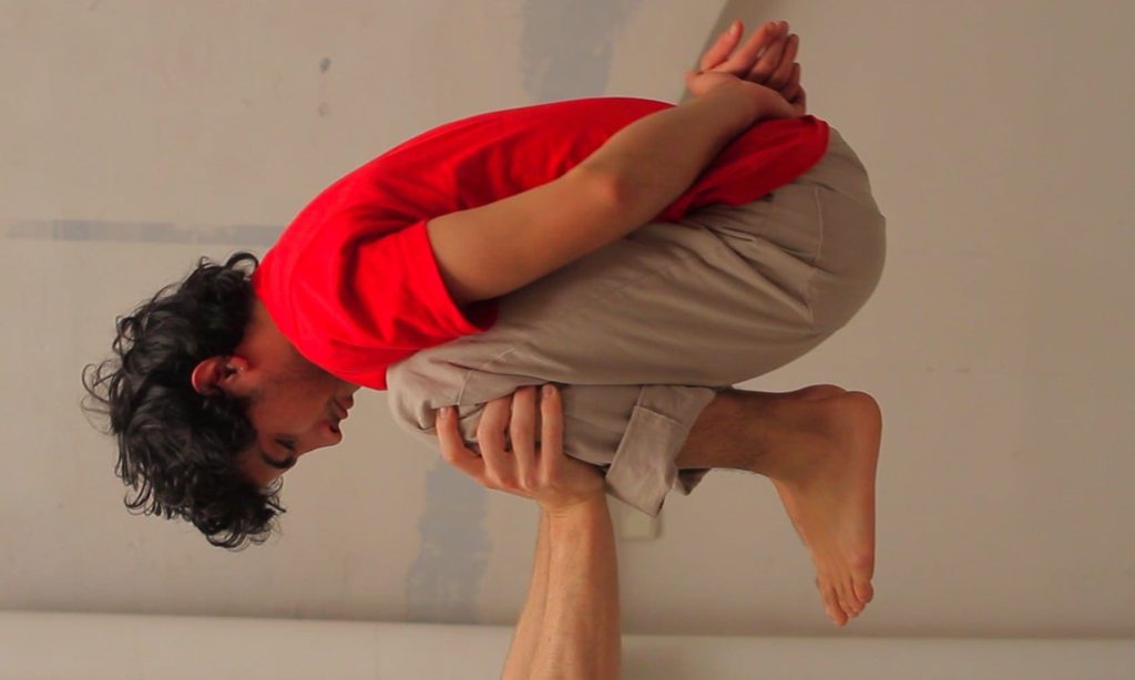 Acrobates