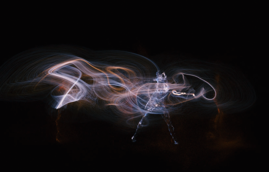 Chaotic Body 1: Strange Attractor