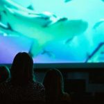 Pianeta Mare Film Lab